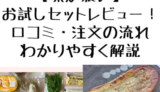 【味が濃い】らでぃっしゅぼーやお試しセットレビュー！口コミ・注文の流れをわかりやすく解説