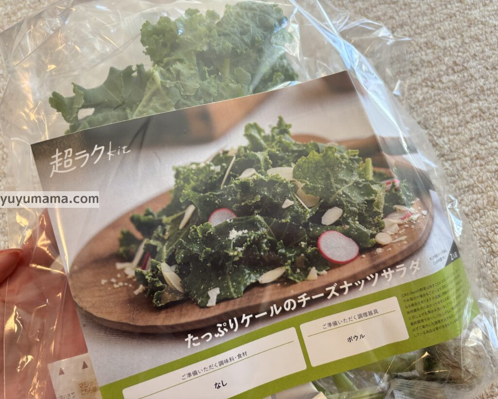 ケールサラダパッケージ